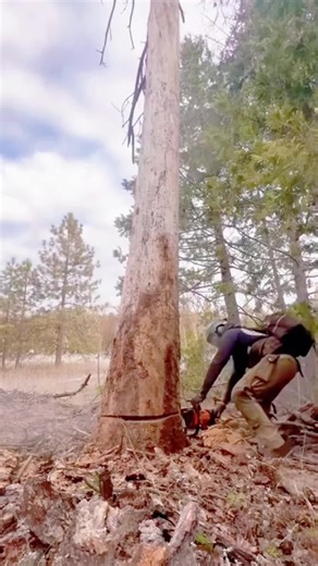 Gunung Semeru Meletus Lagi - 19 November 2025