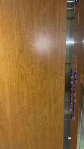 What's there? 🥰 | Baby Mo