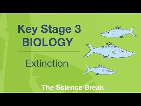 Key Stage 3 Science (Biology) - Extinction