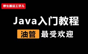 【Java入门课程】油管最受欢迎的Java小白基础教程，mosh老师系列课程搬运，中英文2.5h已完结