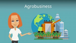 Agrobusiness Vor- und Nachteile