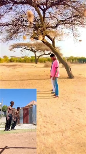 samii (@samii2621)’s videos with original sound - samii