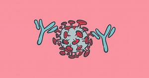 Antibodies, Immunity and Vaccines: A Short Primer on the Adaptive Immune Response - Promega Connections