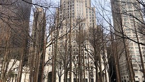 Pine Barrens 'ghost trees' incorporated into Maya Lin art exhibit in NYC