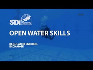 How To Perform Regulator Snorkel Exchange Skills - SDI Open Water Skills