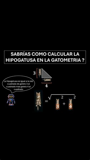 Teorema de Pitágoras explicado con gatos #matematicas #maths #contenidoeducativo