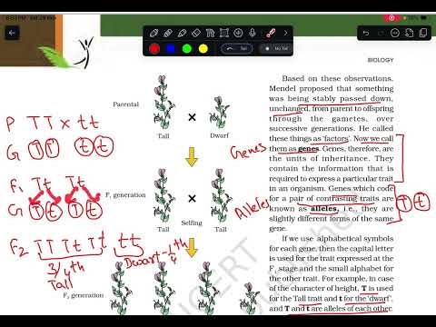 Chapter 4 #Principles of inheritance and variation