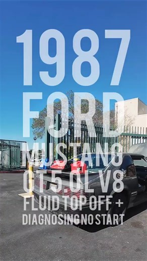 1987 Ford Mustang GT 5.0L V8 -Fluid top off + No start — New battery/ bad battery cable connection.