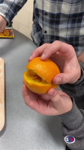 user2997514336430 (@42920b)’s videos with original sound - AnnoyingOrangeAO