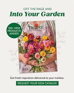 30 reactions |  Garden inspiration, delivered! Sign up to receive our 2024 catalog in your mailbox—or flip through the digital edition! Request a catalog at https://bit.ly/3svyQbH | Burpee Gardening | Facebook