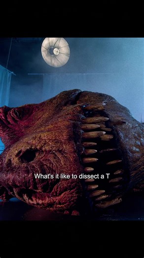 What does it feel like to dissect a 65-million-year-old Tyrannosaurus Rex?#Dinosaurs #tiktok