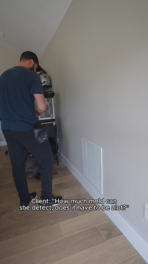 **How much mold does it take for Xia to detect mold? Not much at all!**Xia is trained to detect even trace amounts of mold, where just the odor on the tape—not the spores themselves—is enough for her to zero in on the problem. Her incredible sense of smell means she can identify hidden mold that might otherwise go undetected. Trust Xia to keep your home safe and mold-free!#MoldDetection #MoldDog #PetPower #HomeSafety #HealthyLiving #XiaTheMoldDog #ProfessionalServiceMold Detection, Hidden Mold, 