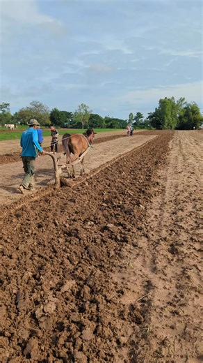 6M views · 37K reactions | Farmers #lathe #excavator #Restoration #howto #Repair #Diy #DIYideas #tools #typ | Dangerous 429 | Facebook