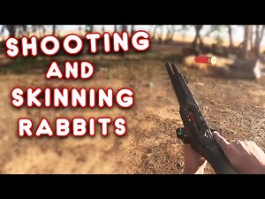 Shooting and Skinning Rabbits