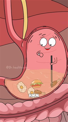 This will help you heal from #LPR and #acidreflux #holistichealth