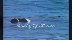 195K views · 5.5K reactions | Fresh 'N' Funky feat Terry Dean & Ameer Rock, Pop, Soul, Funk, Forever [Airplay Mix] | Michel Gonthier | Facebook