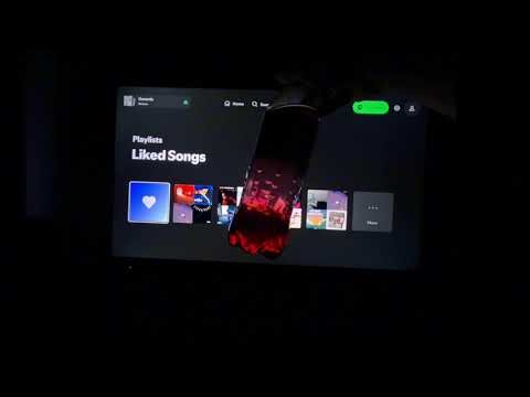 Relationship without Status - Kelalawar Restia