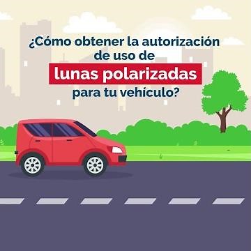 Lunas polarizadas: haz el trámite en simples pasos