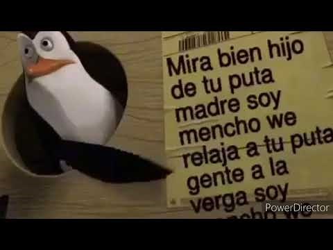 Mira bien hijo de tu p$+@ madre soy Mencho we relaja a tu p$+@ gente alv soy Mencho wey