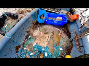 Big Haul Commercial Sole Netting - Electric Ray , Plaice , Big Sole Catch & Cook