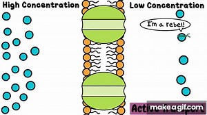 Cell Transport on Make a GIF