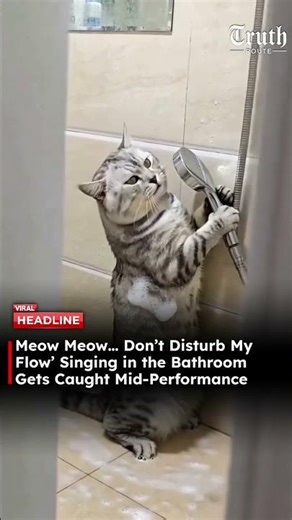 An AI-generated cat is caught “singing” in the bathroom like it’s in the middle of a full concert.