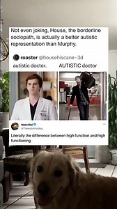 high function vs high functioning