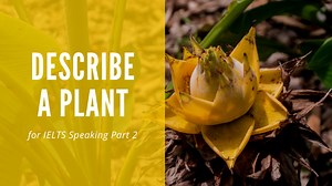 Describe a Plant or Flower [IELTS Speaking] - TED IELTS