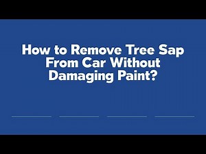 How to Remove Tree Sap From Car Without Damaging Paint?