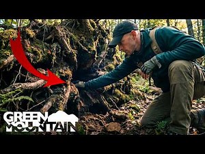 This Fallen Tree Was Hiding Something in Its Roots