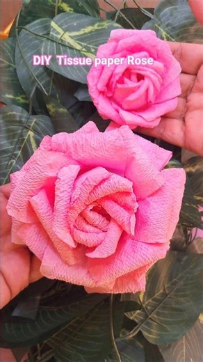 Diycrafts Tissue paper rose |flower making from paper #craft #flowers #shorts #diy