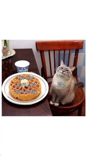 Random Memes 124 #Memes #Shorts