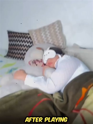 Mosquito Killer Lamp: Effective Bug Control at Home Free Delivery