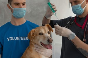 Dovato Copay Card & Prescription Assistance Programs Guide