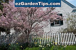 Cómo decorar una casa de Cape Cod 🌱 Tips Jardineros - Es.ezGardenTips.com