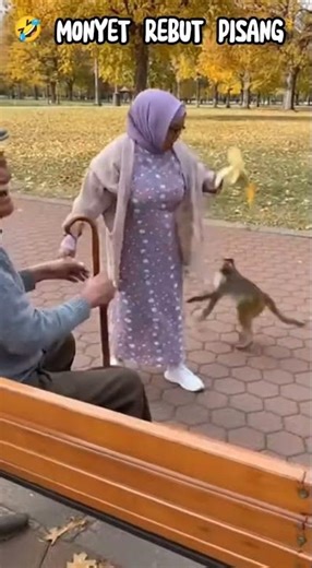 MONKEY GRABS A BANANA, GRANDMOTHER RUNS AWAY! 🤣🍌