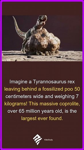 TRex's GIANT POO! | Biggest Dinosaur Dropping Ever Found
