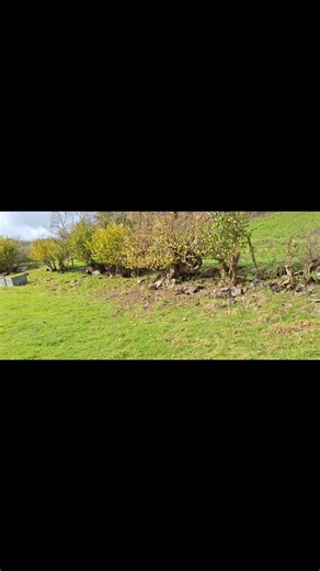 Training lesson number 6 -a blind retrieve! | Althrey Gundogs