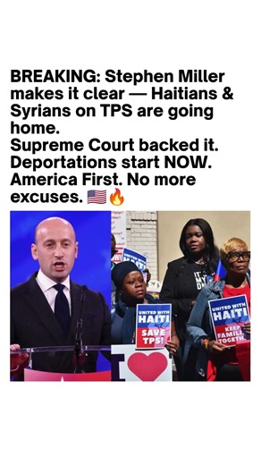 Stephen Miller TPS Claim Goes Viral 🇺🇸