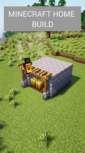 part-1. Minecraft Starter House 🏡 #youtube #gaming #games #comedy #gameplay