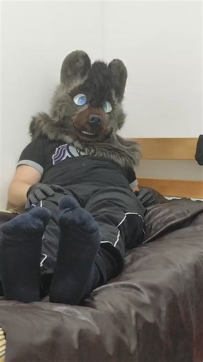 #fursuit #yeen #gay #feet #gayfeet #footfetish #socks #dirtysocksJust got back from the gym, you know what to do and don't make me repeat it!