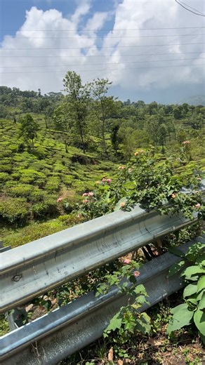 Beautiful Nilgiris, Downhills and there are Uphills An Important Update - Early Bird Pricing for all TFN Alumni | Tour of Nilgiris