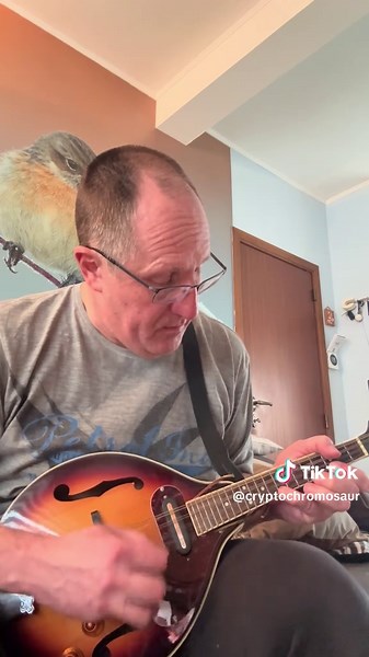 #mandolin #pelagia #music #fyp #practice my best version so far