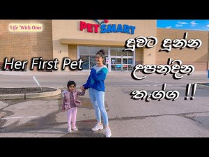 HER FIRST PET | EARLY BIRTHDAY GIFT | දුවගේ උපන්දින තෑග්ග | LIFE WITH OME