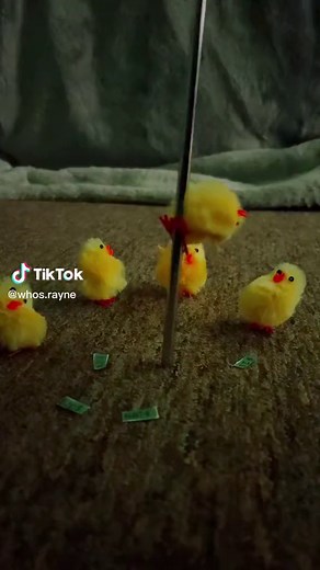 Shimmy Shimmy Ya Meme Compilation