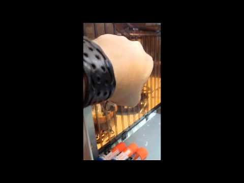 Davinci 1.0A 3D Printer Basic Fixes, EEPROM Resetter, and Slic3r Settings!