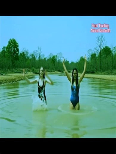 Huge Python Enters Village – Kid Kills It with Only Sticks Shocking Real Footage