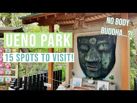 Ueno Park Walk Through / What to See inside of Ueno Park, Tokyo Japan!