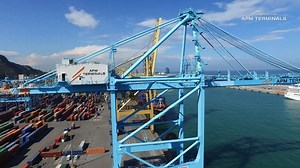 1.5K views · 92 reactions | This summer, APM Terminals Barcelona...