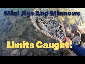 Trout Fishing With Mini Jigs And Minnows. Willow Beach Fishing. LIMITS CAUGHT!!!